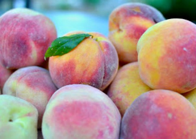 fresh peaches