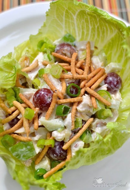 Grilled Chicken Salad Lettuce Wraps - A Southern Soul