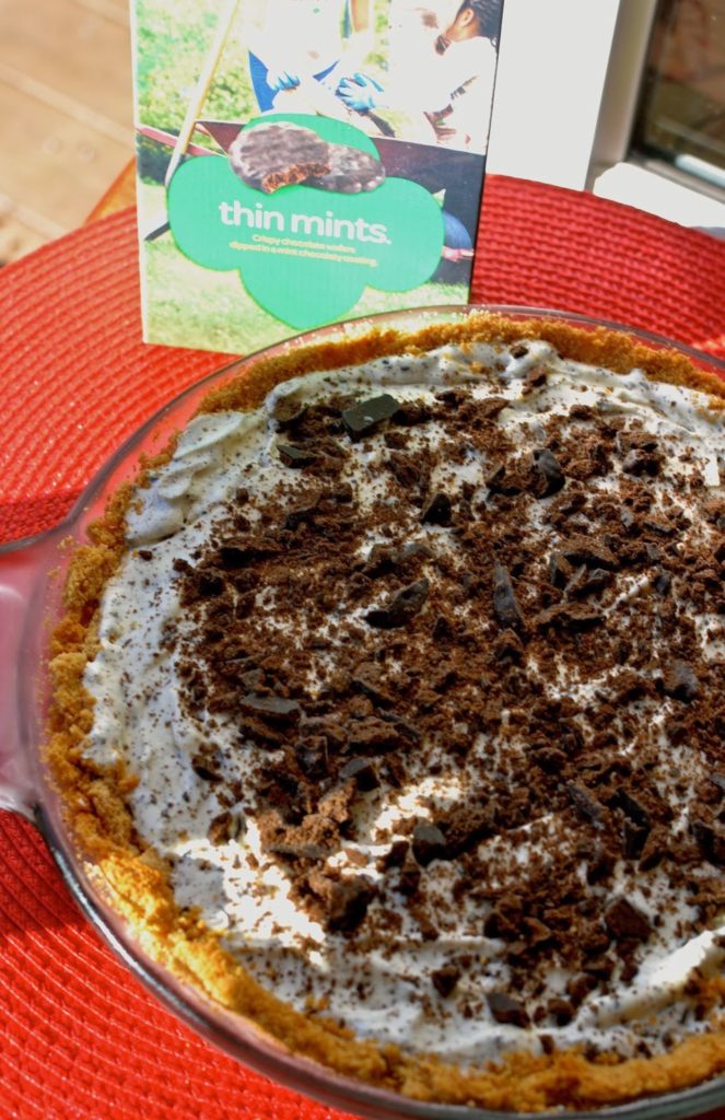 http://asouthern-soul.blogspot.com A Southern Soul | Thin Mints Ice Cream Pie