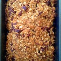oatmeal banana bread with cranberries