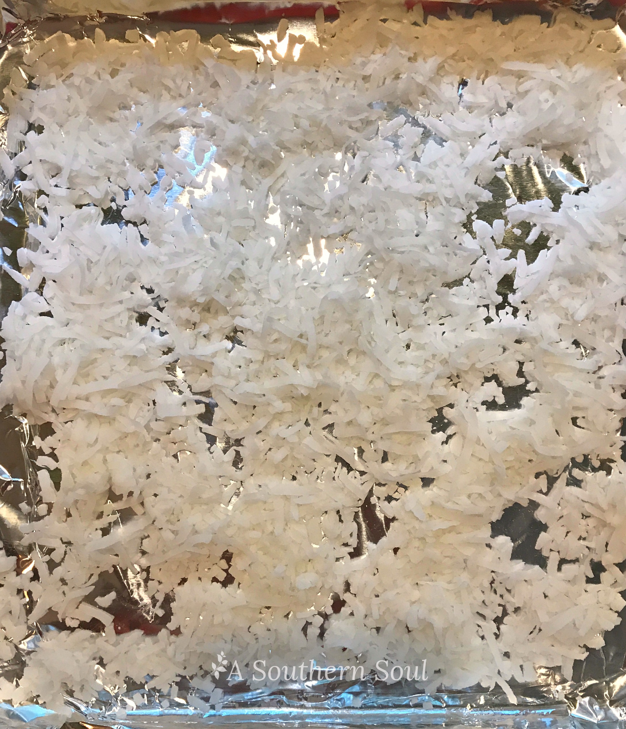 how to toast coconut raw