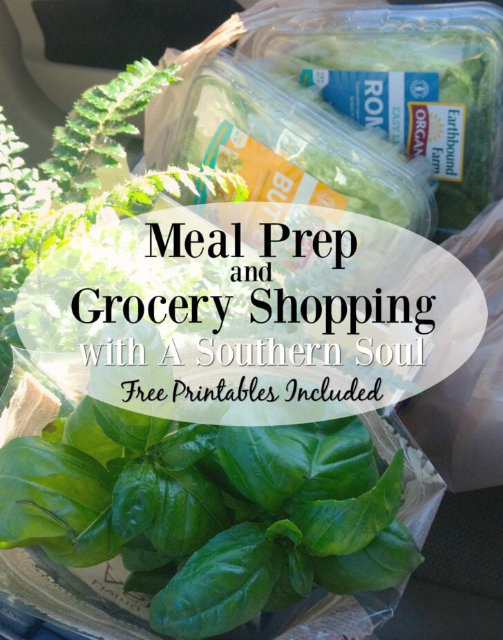 meal prep and grocery shopping with a southern soul
