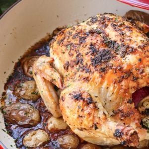 Herb butter with thyme, basil and oregano flavors a whole chicken roasted in the oven on a bed of new potatoes.