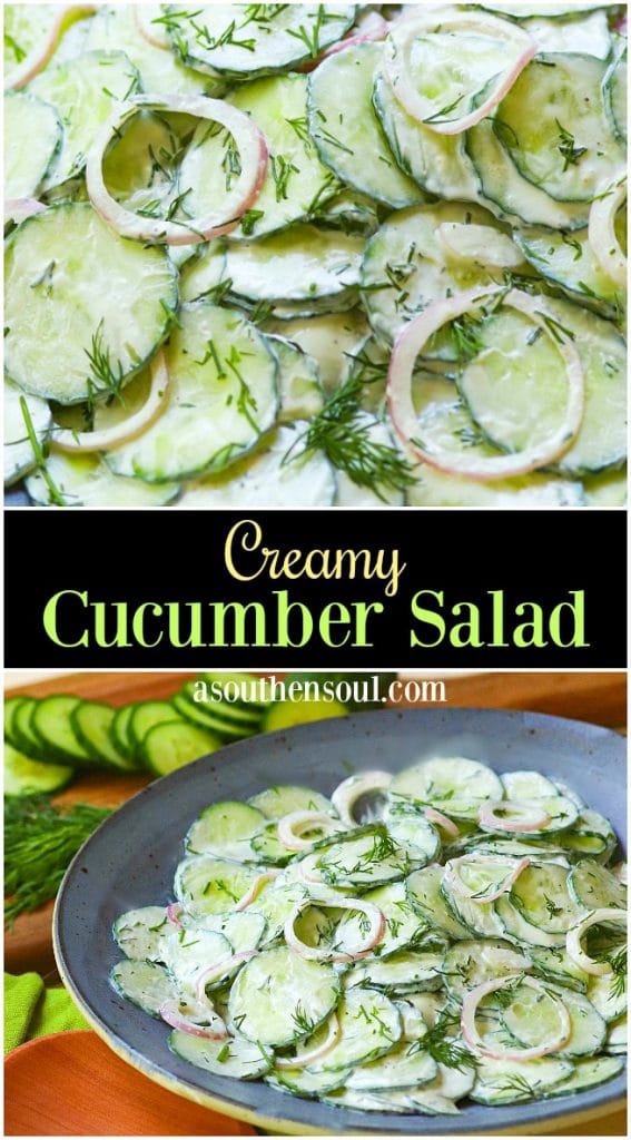 Creamy Cucumber Salad is a simple side dish that's full of fresh flavor. Make with cucumbers and onions in a dressing of sour cream, vinegar, sugar, dill, salt, pepper and garlic it's a cool creamy salad to enjoy any time of the year!
