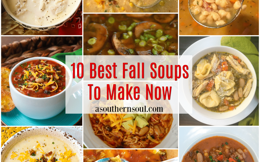 10 Best Fall Soups To Make Now