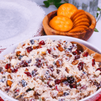 Cranberry Pecan Chicken Salad is loaded with sweet and savory flavors. This easy to make recipe has loads of tender chicken, tart cranberries, crunchy pecans and sweet apples. Serve it for lunch or a light supper any time of the year!