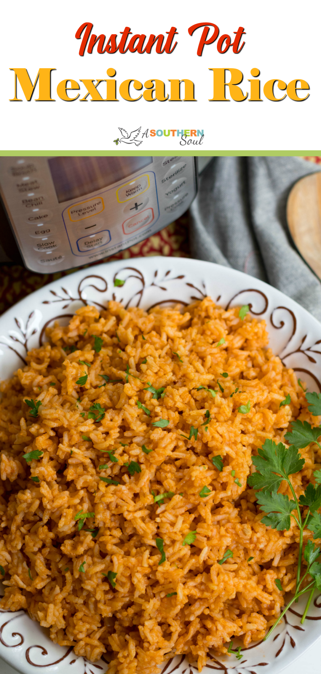 Instant Mexican Rice Easy Instant Pot Mexican Rice Recipe