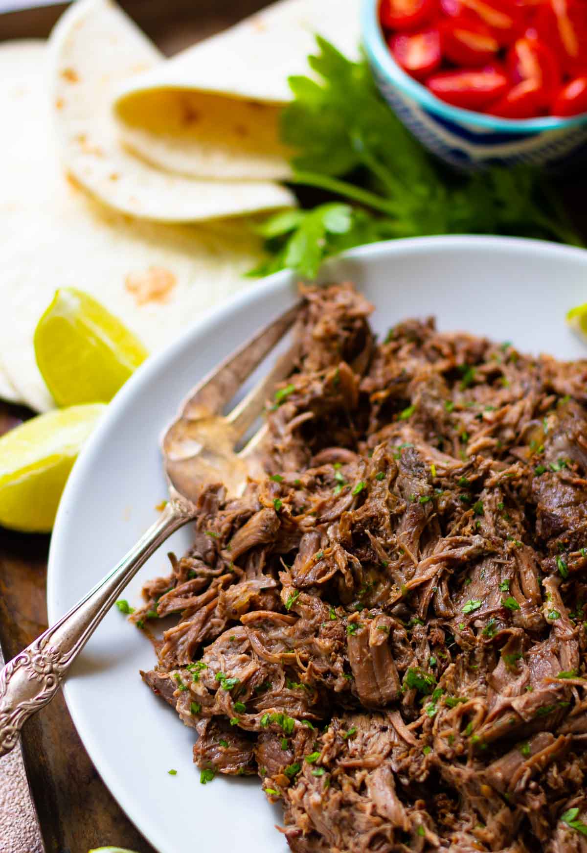Mexican Shredded Beef Soup Wiring Diagram And Schematics