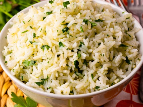 rice in ip