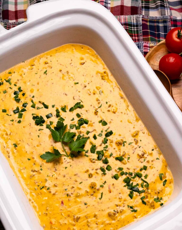 Slow Cooker Queso Beef Dip