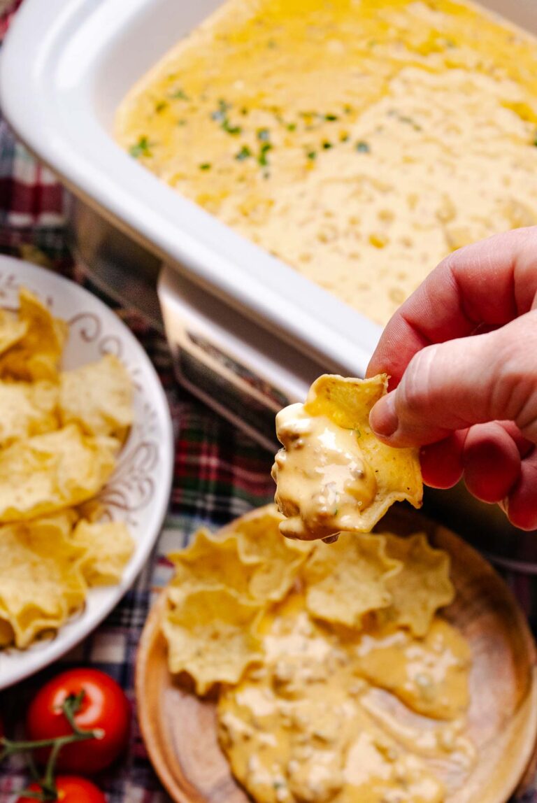 Slow Cooker Queso Beef Dip