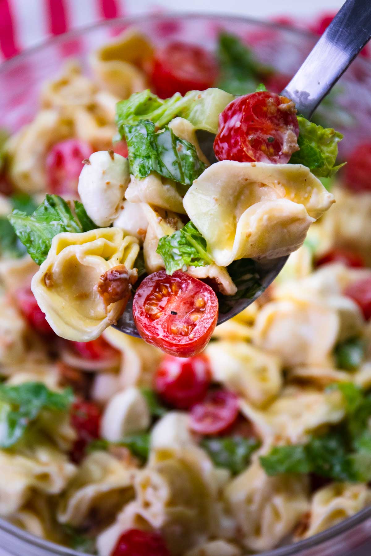 BLT Tortellini Pasta Salad A Southern Soul