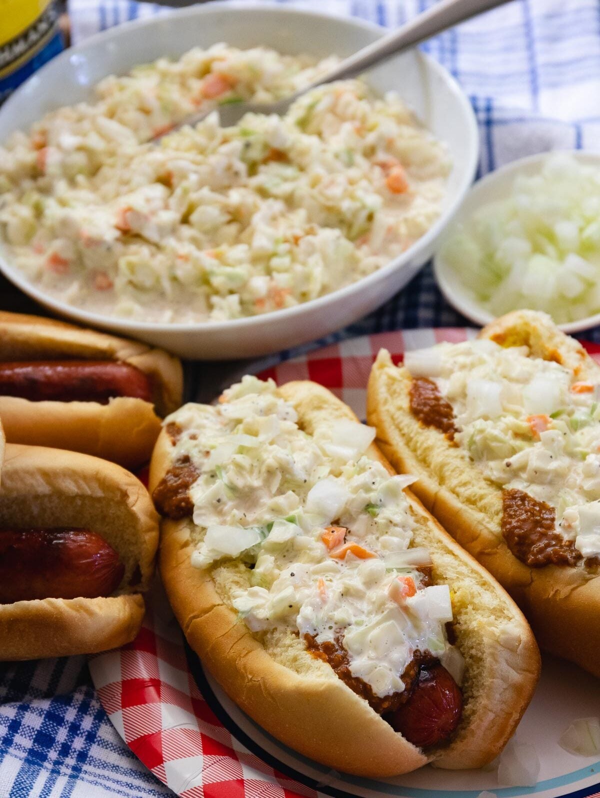 Carolina Slaw Dogs are loaded with flavor! Made with hot dogs in buns, mustard, chili, onions and creamy coleslaw.