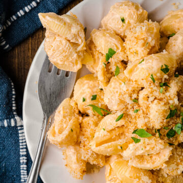 Creamy Shells And Cheese Recipe (One Pot)
