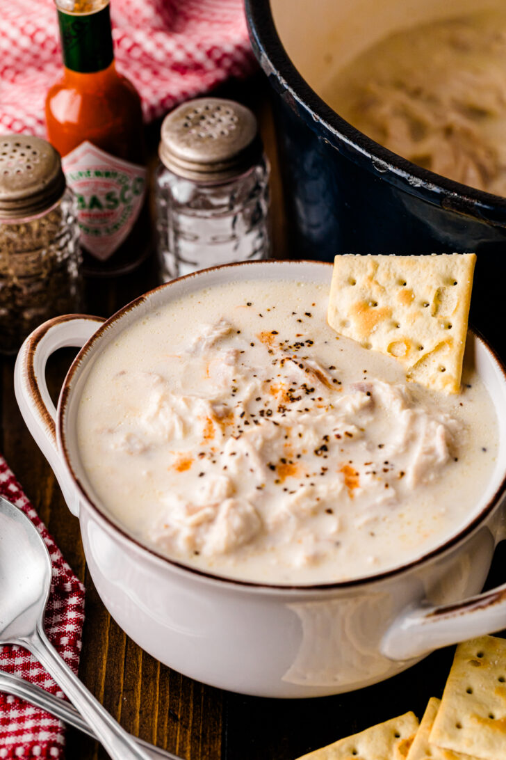 Bowl of creamy chicken stew with shredded chicken and black pepper, a spoon resting inside the bowl ready to serve.