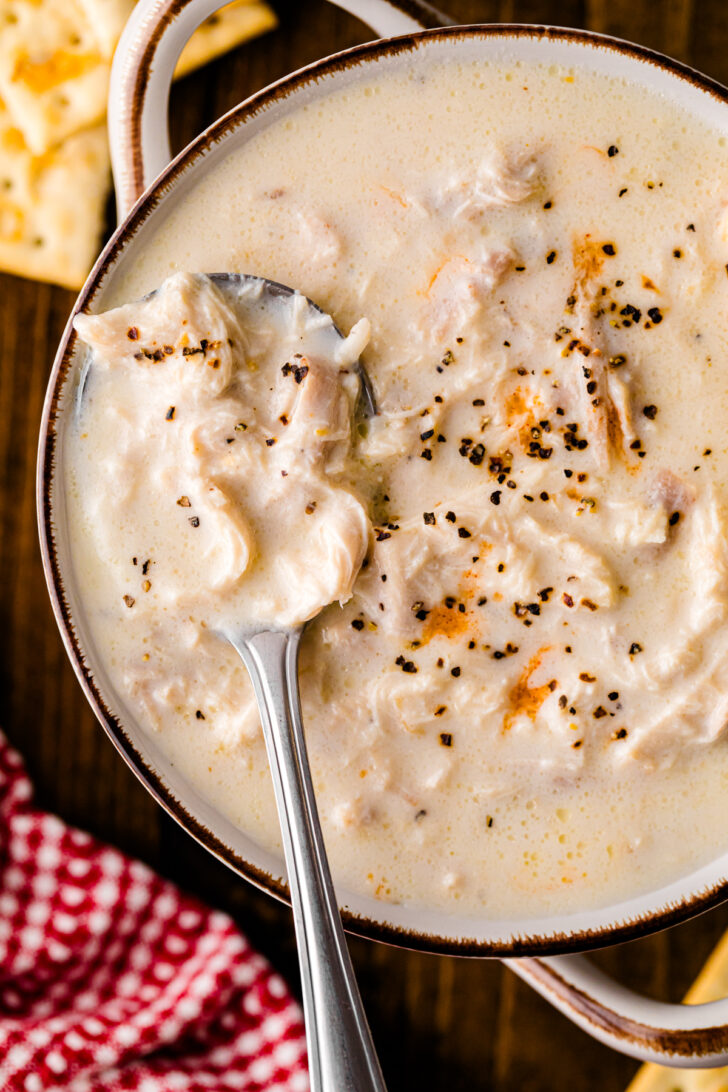 Close-up of creamy chicken stew in a bowl, with chunks of chicken and black pepper sprinkled on top, a spoon resting inside.