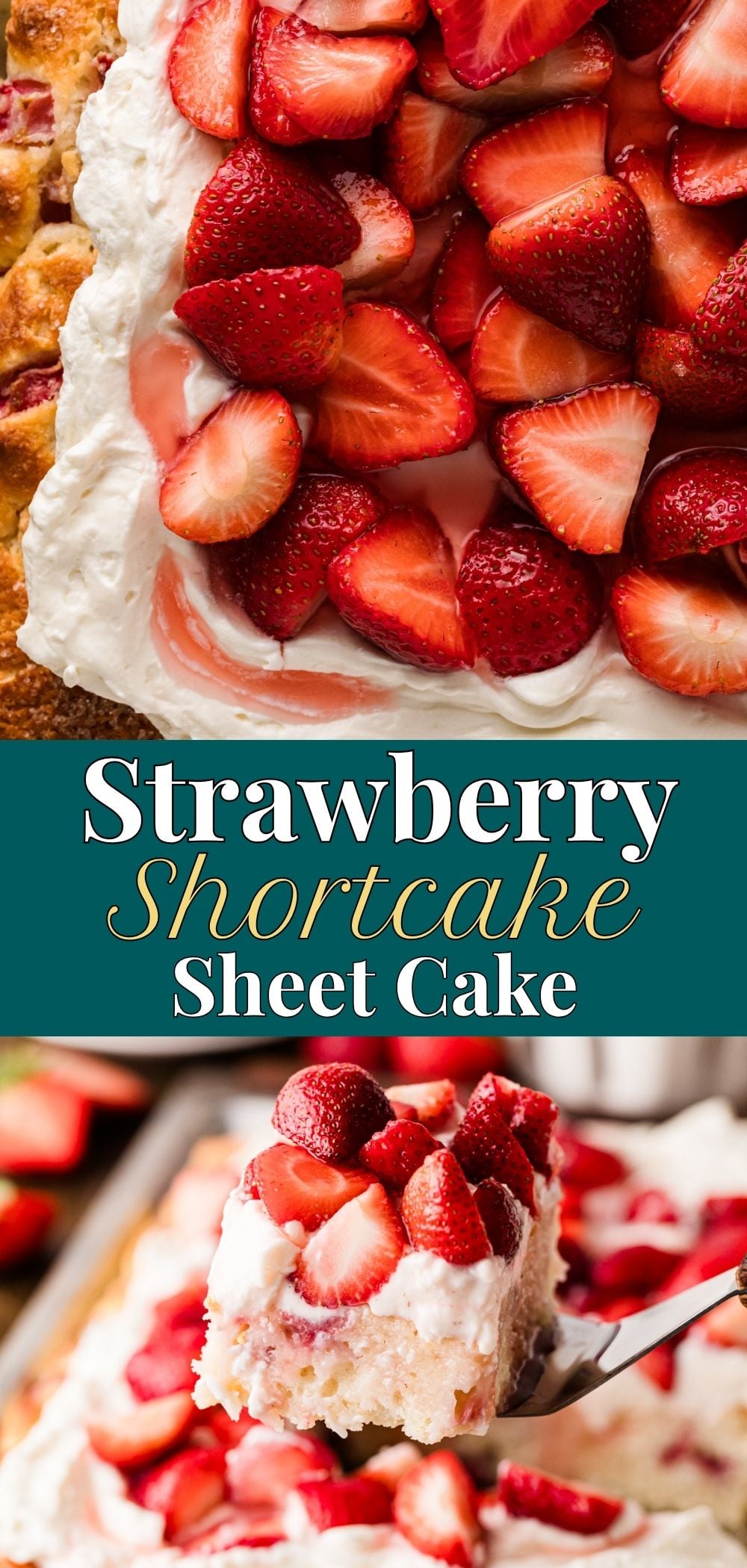 Fluffy Strawberry Shortcake Sheet Cake Recipe
